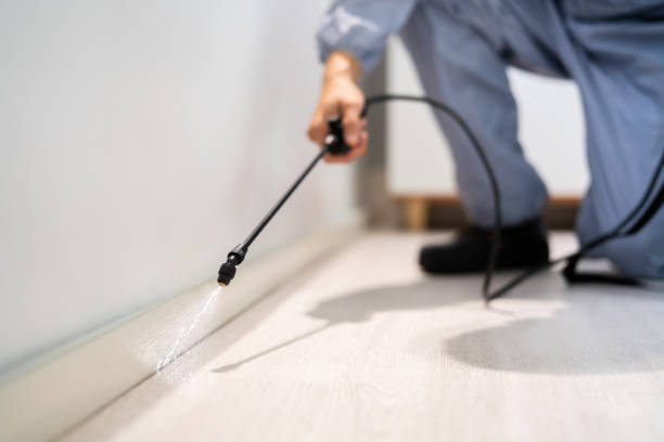 Licensed Termite Control service in Lake Wisconsin, WI - Nex Pest Control