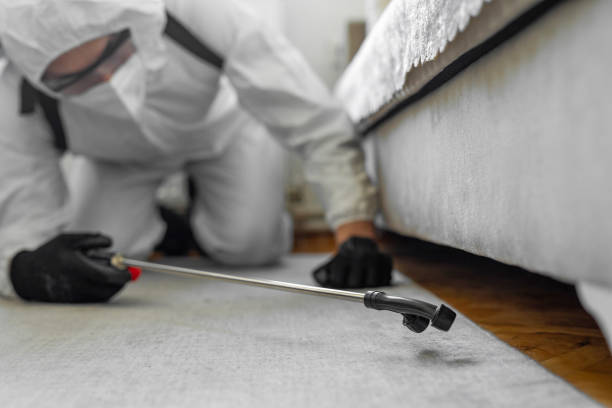 Professional Termite Control technician working in Lake Wisconsin, WI