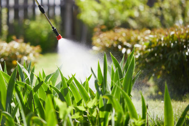 24/7 Emergency Termite Control experts in Lake Wisconsin, WI
