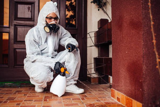 Reliable Termite Control contractor in Lake Wisconsin, WI by Nex Pest Control