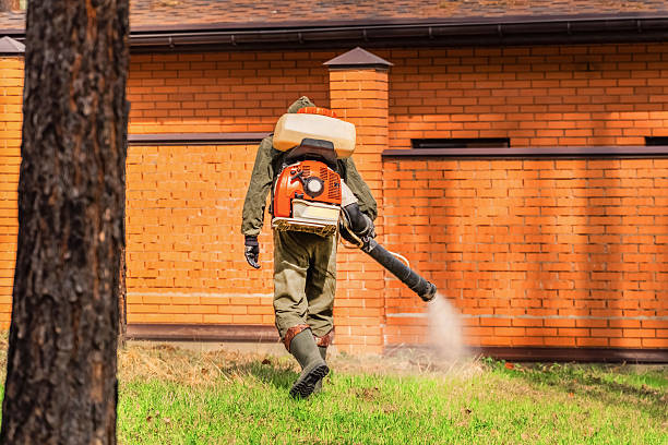 Trusted Bed Bug Control service in Lake Wisconsin, WI - Nex Pest Control
